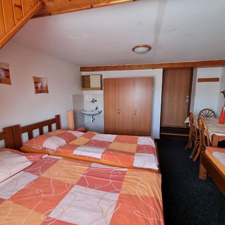 Penzion Tomy Pihlov Horní Planá Buitenkant foto