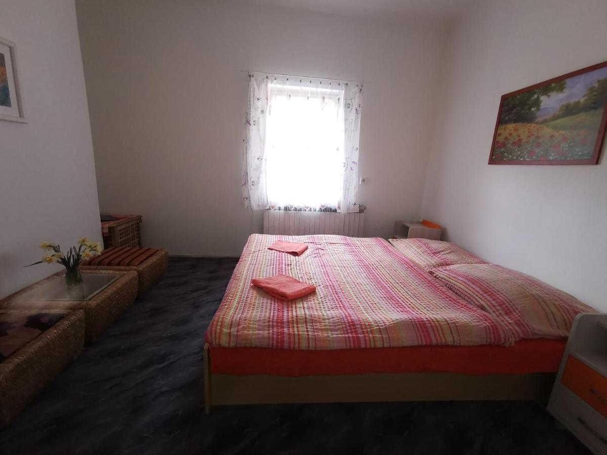 Penzion Tomy Pihlov Horní Planá Buitenkant foto