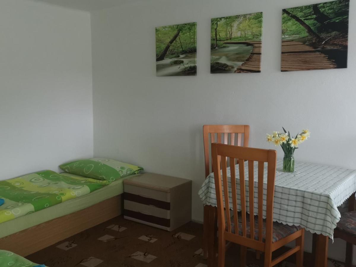 Penzion Tomy Pihlov Horní Planá Buitenkant foto