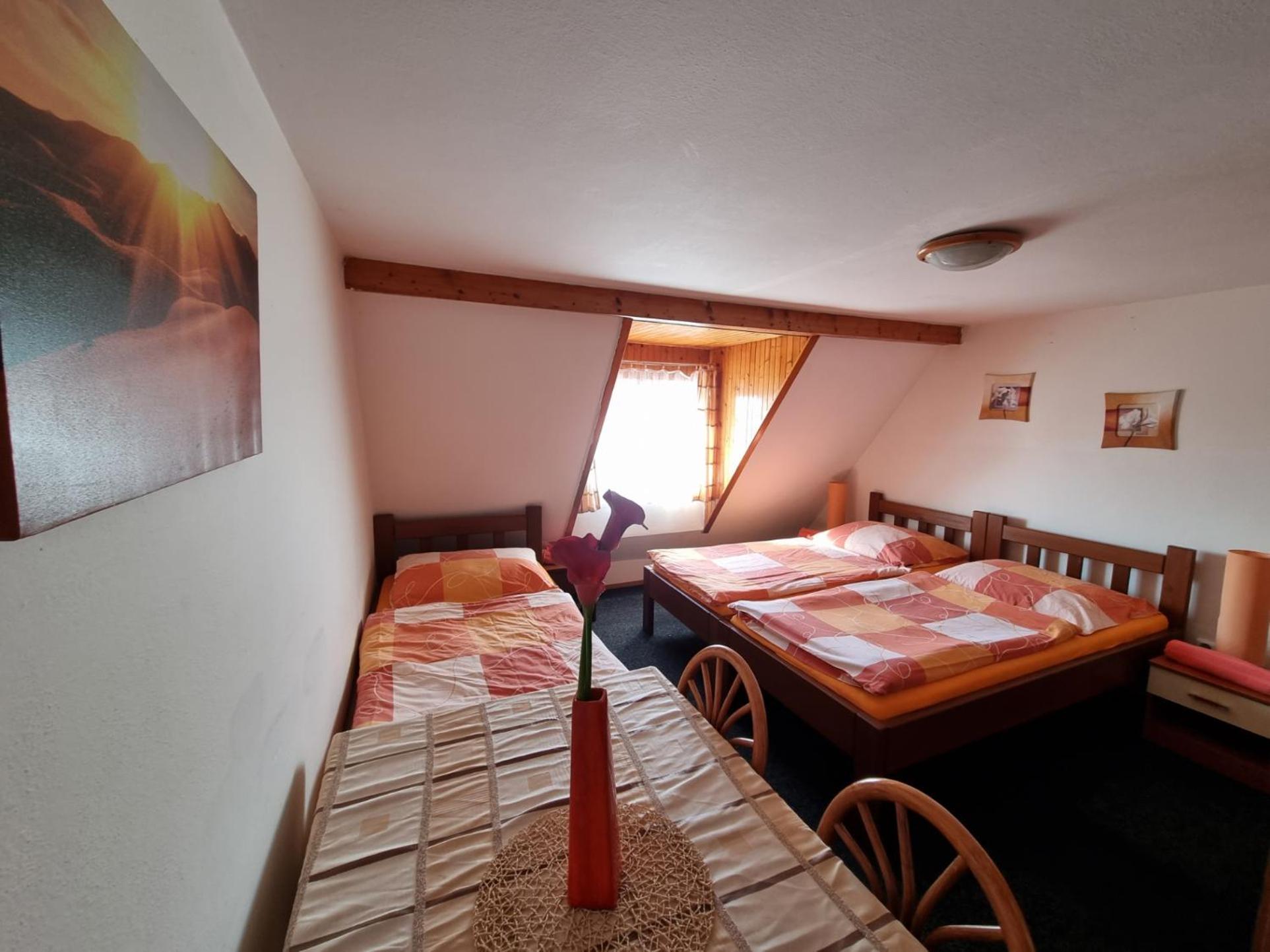 Penzion Tomy Pihlov Horní Planá Buitenkant foto