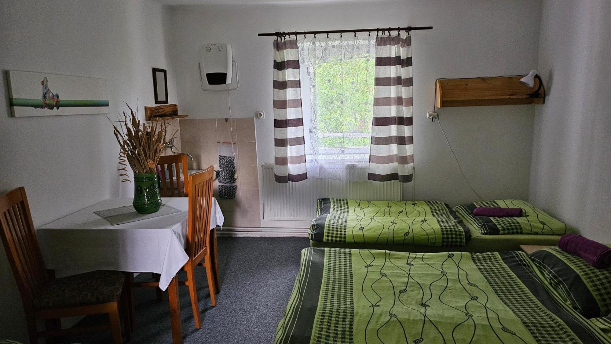 Penzion Tomy Pihlov Horní Planá Buitenkant foto