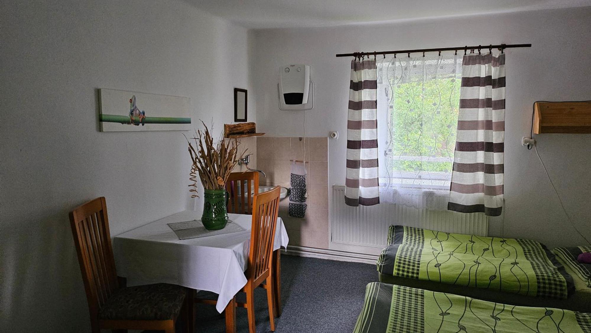 Penzion Tomy Pihlov Horní Planá Buitenkant foto
